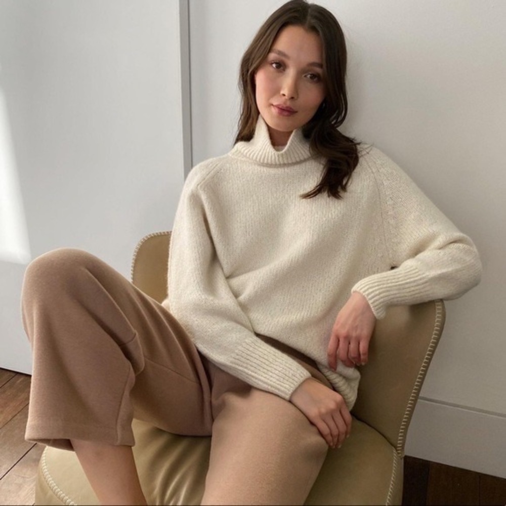 Aritzia The Group by Babaton  Day Off Turtleneck